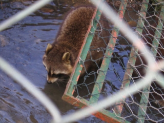  Animales del bioparque 